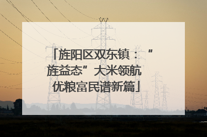 旌阳区双东镇：“旌益态”大米领航 优粮富民谱新篇